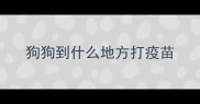 狗狗到什么地方打疫苗