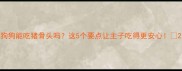 狗狗能吃猪骨头吗这5个要点让主子吃得更安心