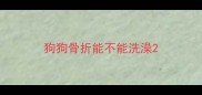 狗狗骨折能不能洗澡
