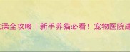 未接种疫苗小猫洗澡全攻略新手养猫必看宠物医院建议的5个安全步骤