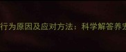 狗狗突然在家到处闻的行为原因及应对方法科学解答养宠家庭最困扰的闻香症