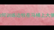 如何训练边牧在马桶上大便