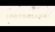 小狗肚子热是怎么回事