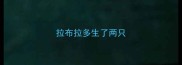 拉布拉多生了两只