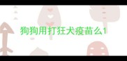 狗狗用打狂犬疫苗么