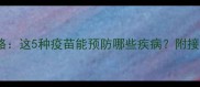 狗狗必看疫苗全攻略这5种疫苗能预防哪些疾病附接种时间表和注意事项