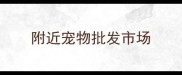 附近宠物批发市场