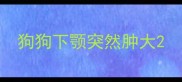 狗狗下颚突然肿大