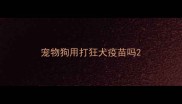 宠物狗用打狂犬疫苗吗
