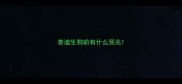 泰迪生狗前有什么预兆