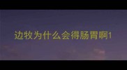 边牧为什么会得肠胃啊