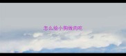 怎么给小狗做肉吃