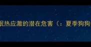 夏季狗狗睡眠热应激的潜在危害夏季狗狗中暑风险