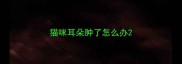 猫咪耳朵肿了怎么办