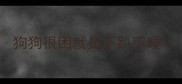 狗狗很困就是不趴下睡