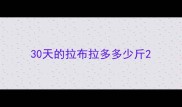 30天的拉布拉多多少斤