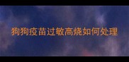 狗狗疫苗过敏高烧如何处理