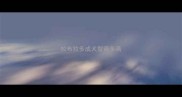 拉布拉多成犬智商多高