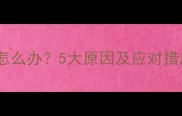 哈士奇喝水撒尿频繁怎么办5大原因及应对措施养宠家长必看