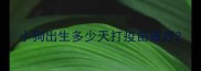 小狗出生多少天打疫苗最好
