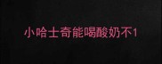 小哈士奇能喝酸奶不
