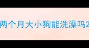 两个月大小狗能洗澡吗