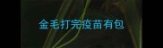 金毛打完疫苗有包