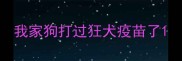 我家狗打过狂犬疫苗了
