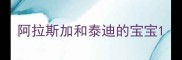 阿拉斯加和泰迪的宝宝