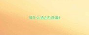 用什么给金毛洗澡