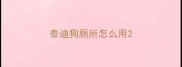 泰迪狗厕所怎么用