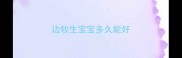边牧生宝宝多久能好