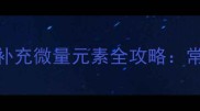 拉布拉多幼犬科学补充微量元素全攻略常见误区与营养方案