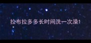 拉布拉多多长时间洗一次澡