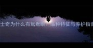 哈士奇为什么有鸳鸯眼品种特征与养护指南