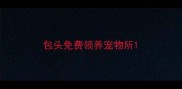 包头免费领养宠物所