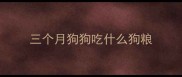 三个月狗狗吃什么狗粮