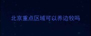 北京重点区域可以养边牧吗