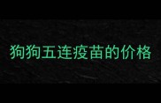 狗狗五连疫苗的价格