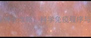 幼猫疫苗接种全攻略科学免疫程序与护理要点