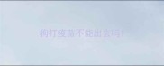 狗打疫苗不能出去吗