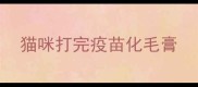 猫咪打完疫苗化毛膏