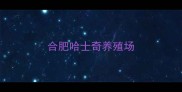 合肥哈士奇养殖场