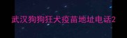 武汉狗狗狂犬疫苗地址电话