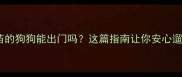 未完成疫苗的狗狗能出门吗这篇指南让你安心遛狗不踩坑