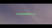 泰迪狗狗眼屎重怎么办
