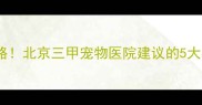 狗狗疫苗有效性检测全攻略北京三甲宠物医院建议的5大核心项目附检查清单