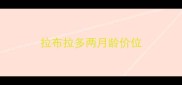 拉布拉多两月龄价位