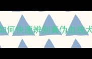 金毛幼犬选购避坑指南如何快速辨别真伪血统犬附价格对比与养护要点