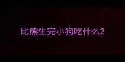比熊生完小狗吃什么